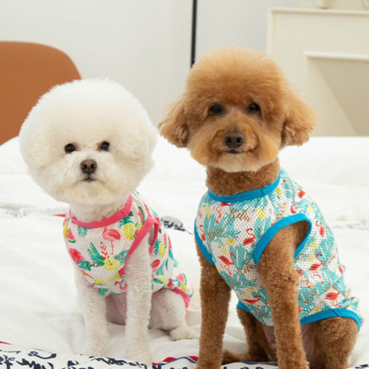 Good Day Summer Nashi Collection Dog Shirt Puppy Breathable Clothes, 5 Set (Send Randomly)